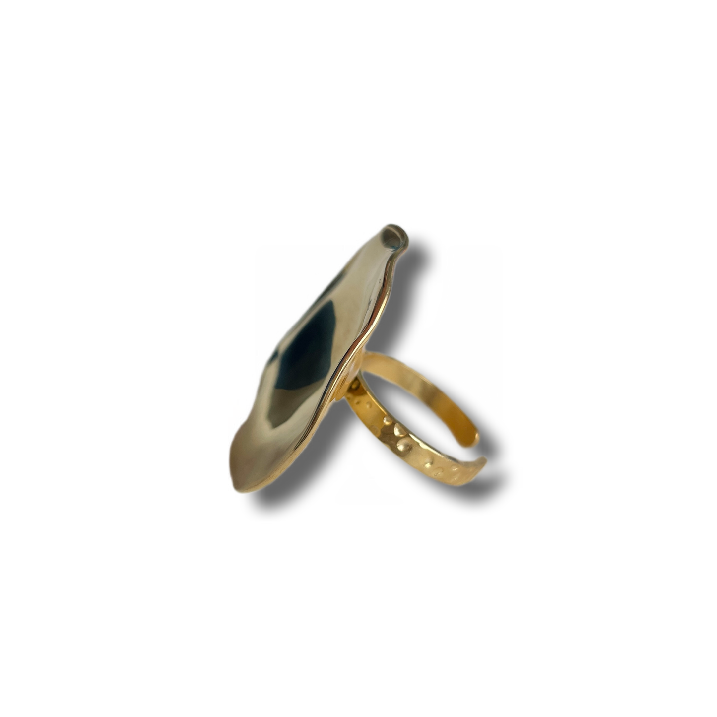 Anillo Plain