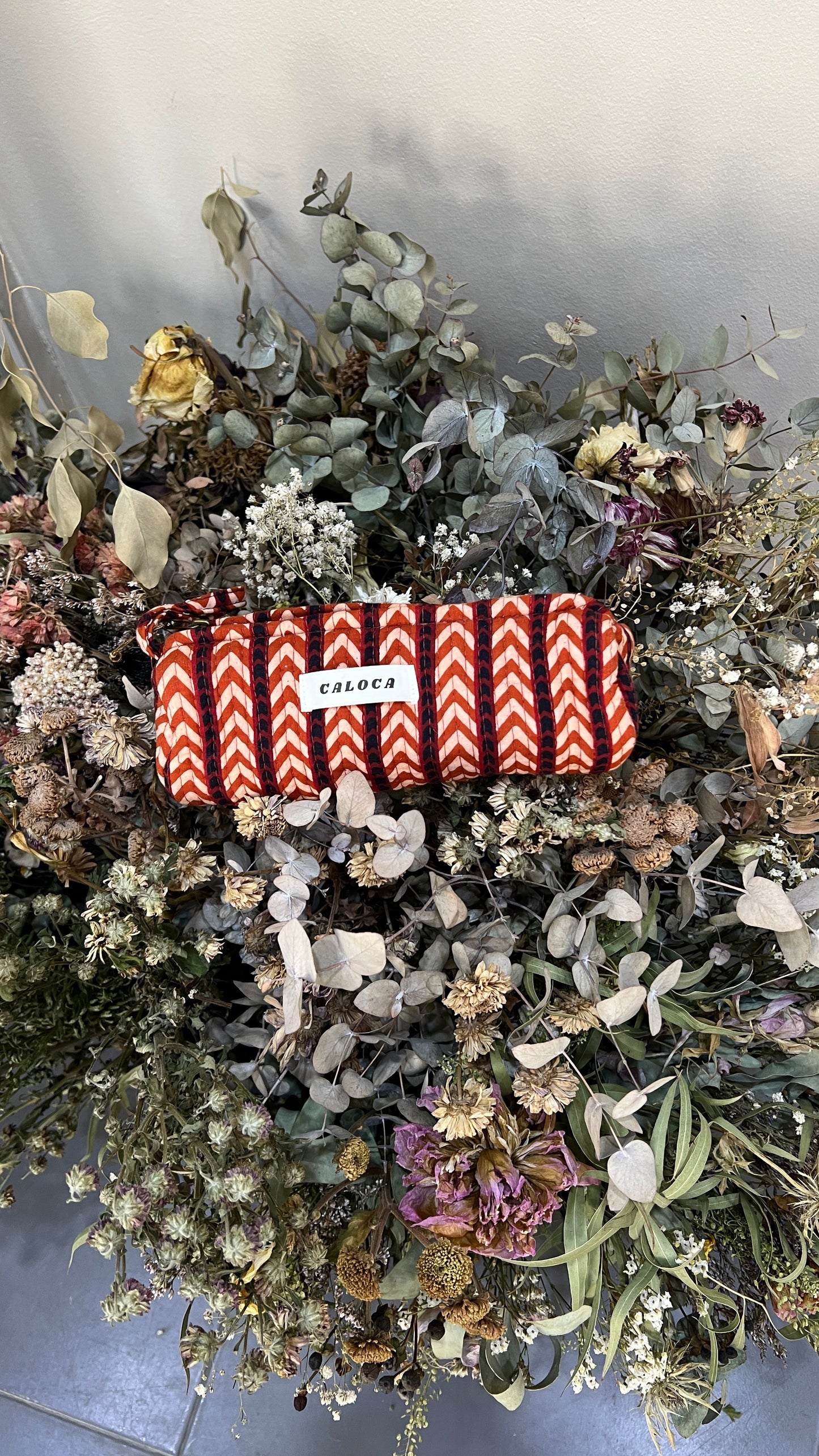 Estuche XVI