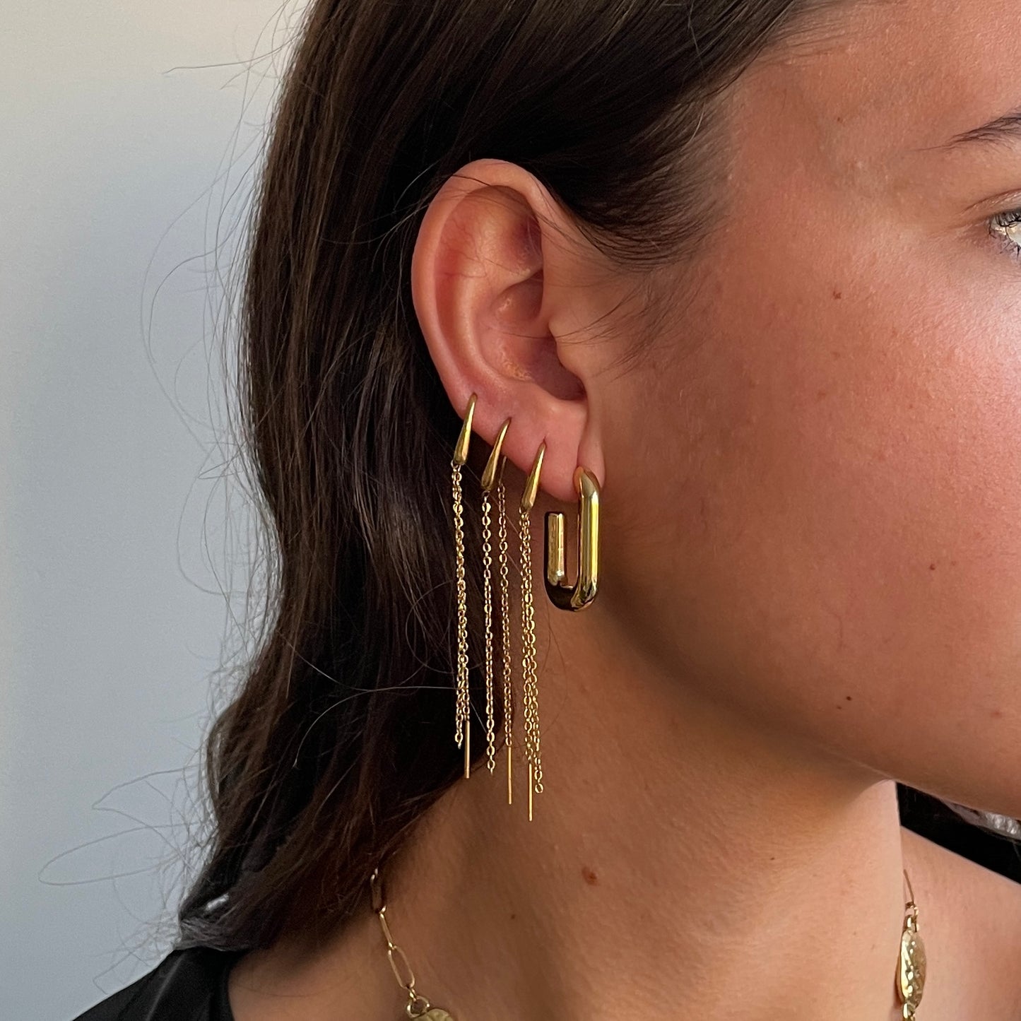 Pendientes Leo