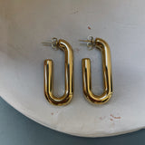 Pendientes Maxi Leo