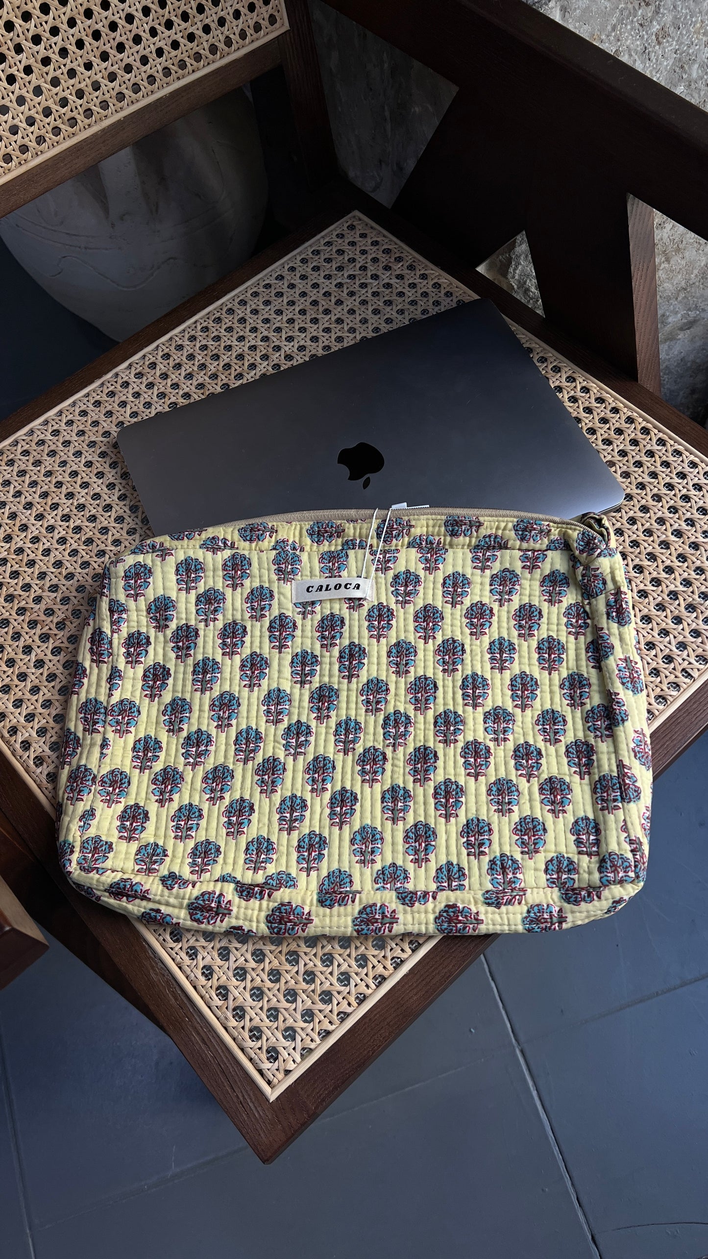 Fundas de ordenador II