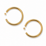 Aros Roma