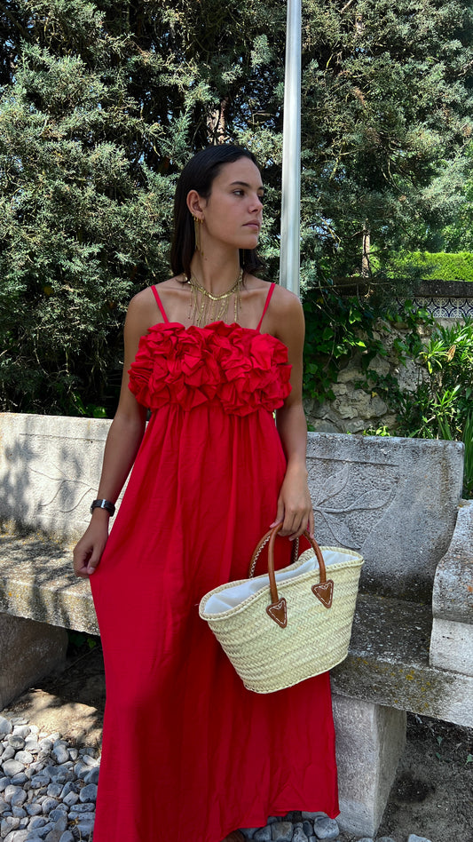 Vestido Amadeo