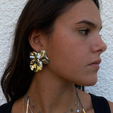 Pendientes rugosos